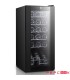 یخچال نوشیدنی 50 لیتر هنریچ مدل HFK 3216
